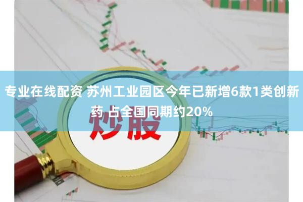 专业在线配资 苏州工业园区今年已新增6款1类创新药 占全国同期约20%